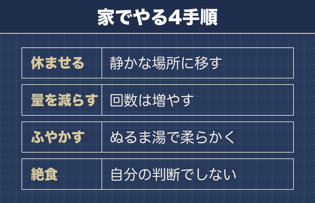トイプードルのお腹がギュルギュル鳴るときの対処法