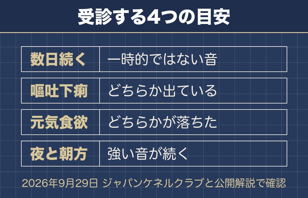 トイプードルのお腹がギュルギュル鳴るときに受診する目安