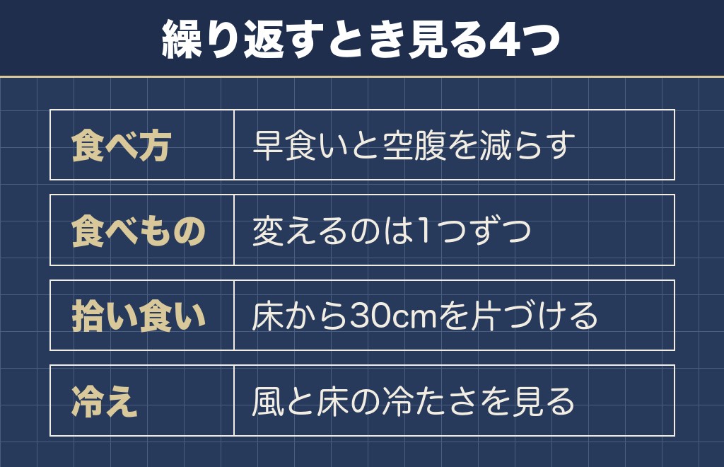 トイプードルのお腹がギュルギュル鳴るのを繰り返さない見直し方