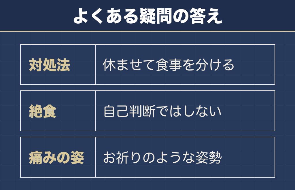 トイプードルのお腹がギュルギュル鳴ることに関するQ&A