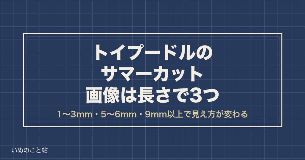 トイプードルのサマーカット画像は何ミリ？短めや人気の長さも