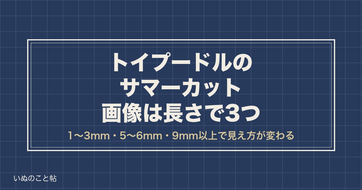 トイプードルのサマーカット画像は何ミリ？短めや人気の長さも