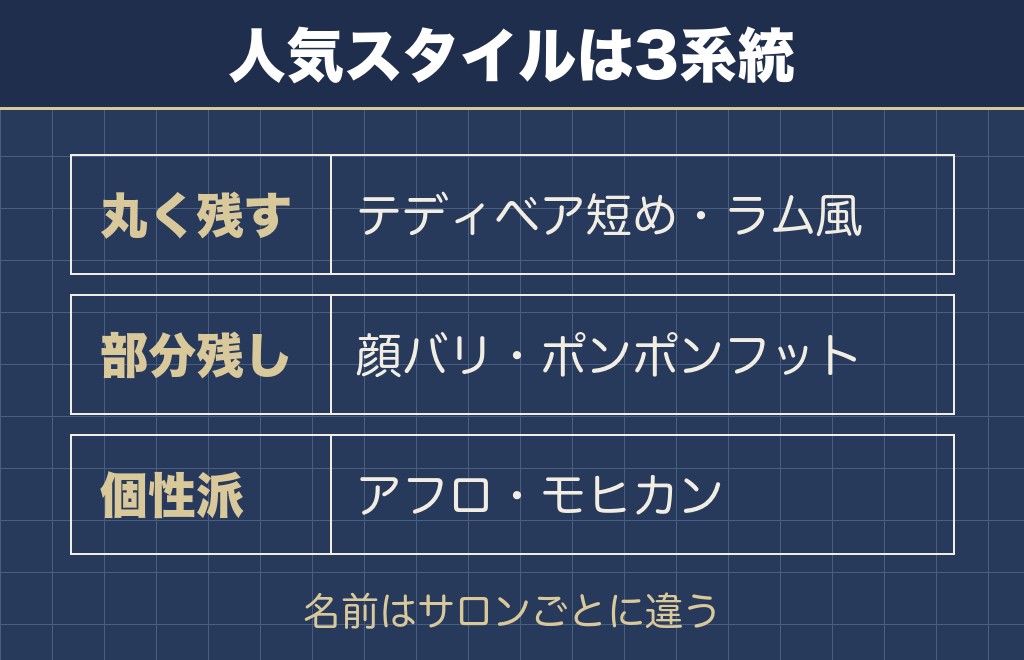 トイプードルのサマーカットで人気のあるスタイル8つ