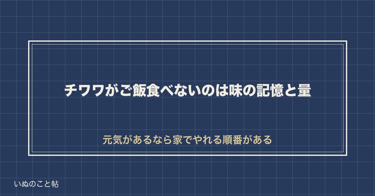 チワワがご飯食べないのにおやつは食べる原因｜何日で病院か