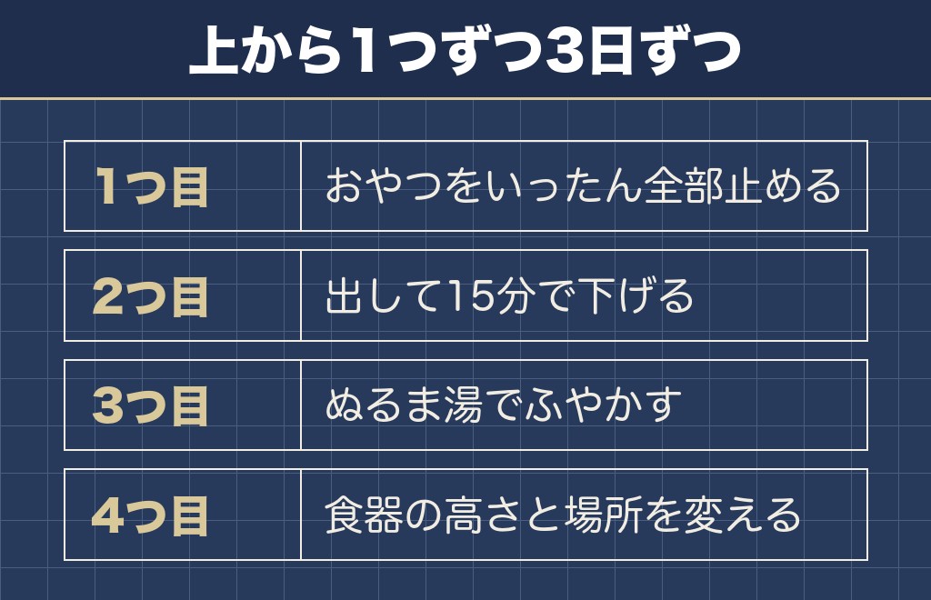 チワワの元気はあるのに食べない日に家でやる順番