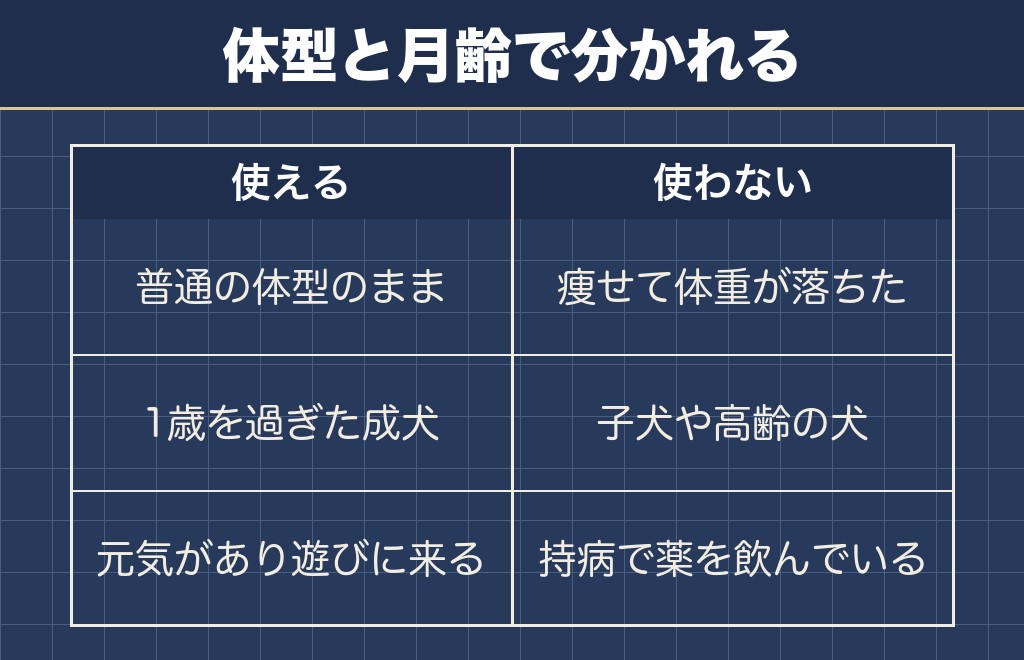 チワワのご飯をほっとくやり方が合う子と合わない子