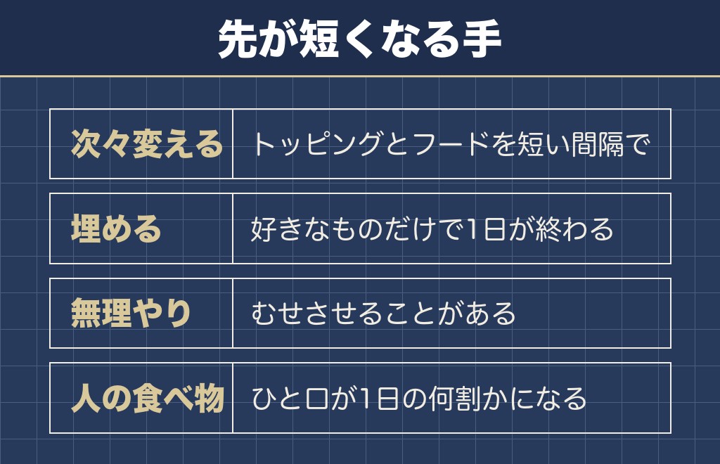 チワワがご飯食べないときにやらないほうがいいこと