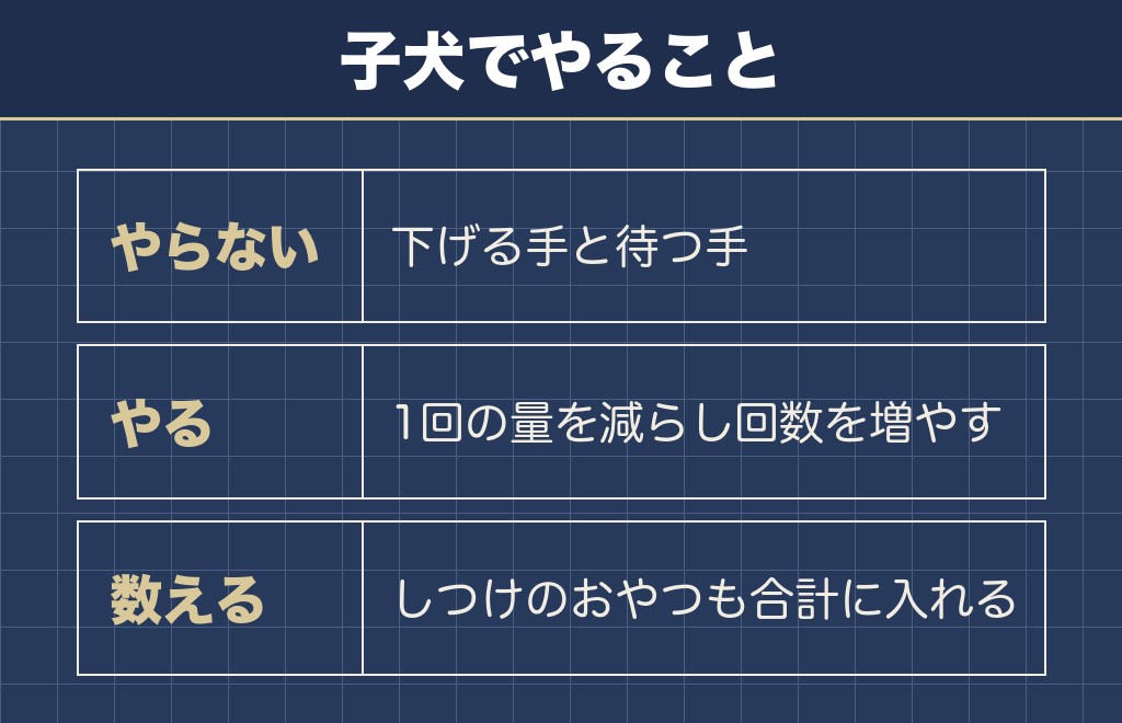 7ヶ月の子犬のチワワがご飯食べないときの見方