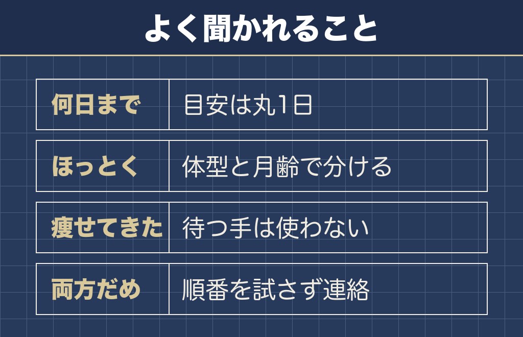 チワワがご飯食べないのにおやつは食べるに関するQ&A