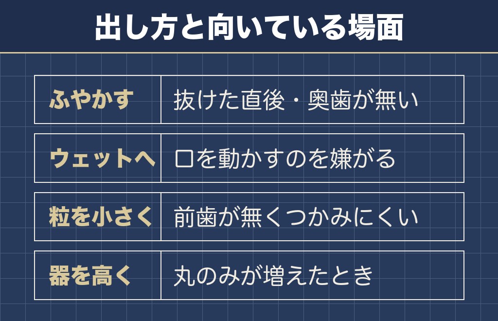 チワワに歯がないときのご飯の出し方