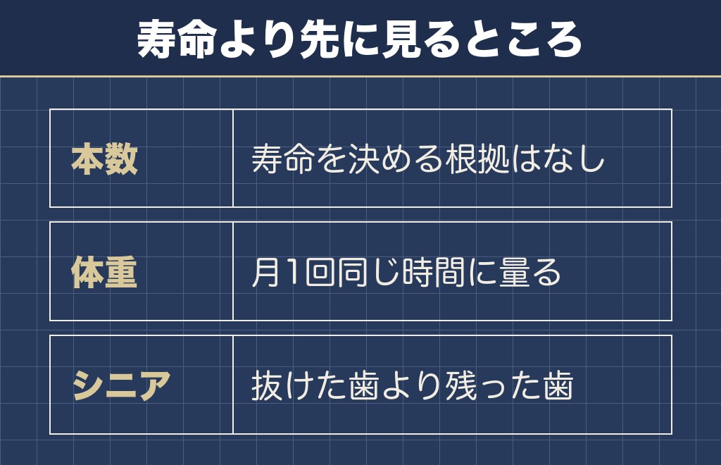 チワワの歯がないことと寿命の関わり