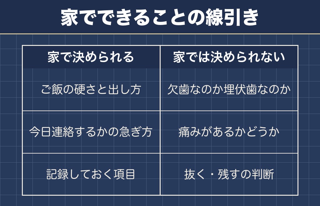 チワワの歯がないときに家で決められることと決められないこと