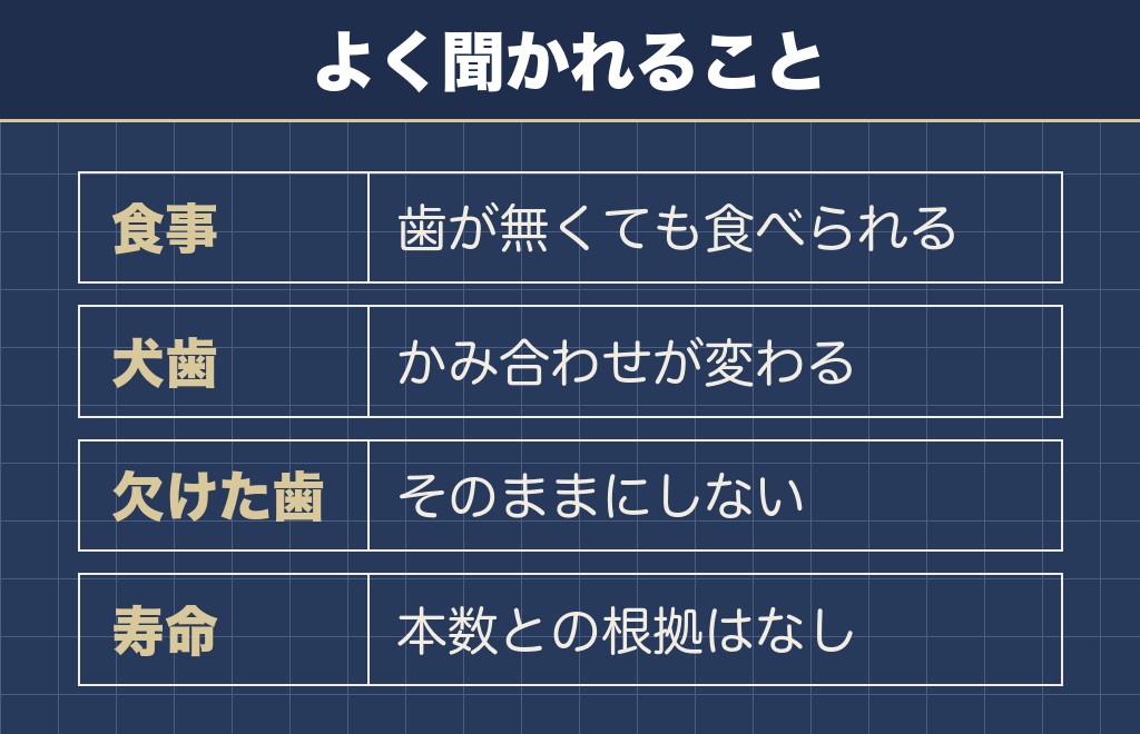 チワワの歯がないことに関するQ&A