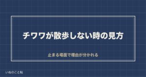 チワワが散歩しないとどうなる？頻度や時間の目安と冬の歩き方