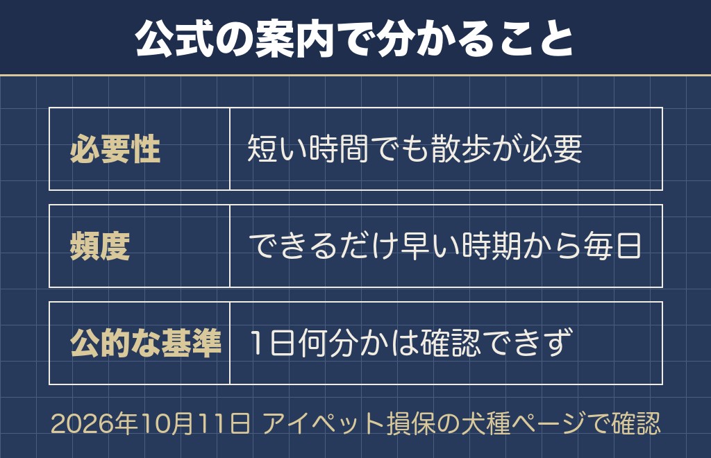 チワワは散歩しないままにしないほうがいい