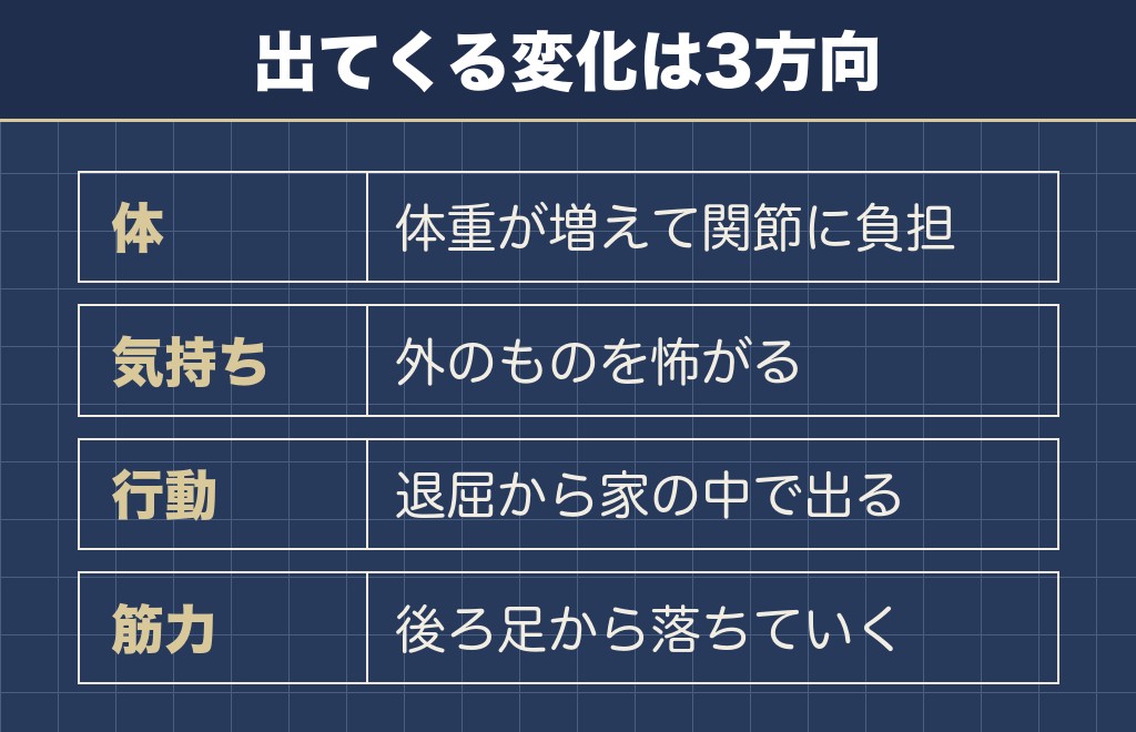 チワワが散歩しないとどうなるかは3つに分かれる