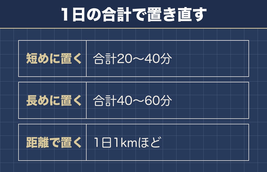 チワワの散歩の頻度と時間は1日の合計で決める