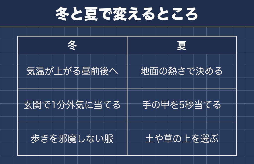 チワワの冬と夏の散歩は条件を変える