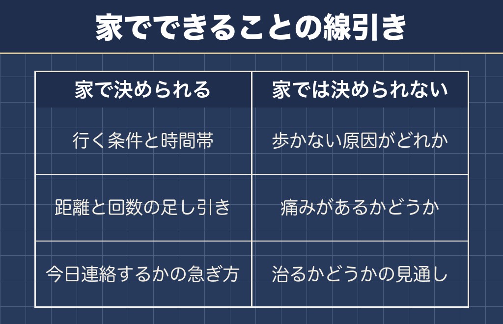 チワワの散歩で家で決められることと決められないこと