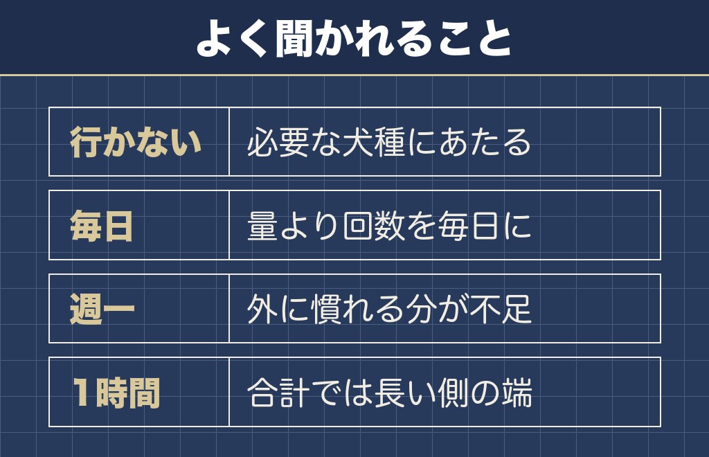 チワワが散歩しないことに関するQ&A