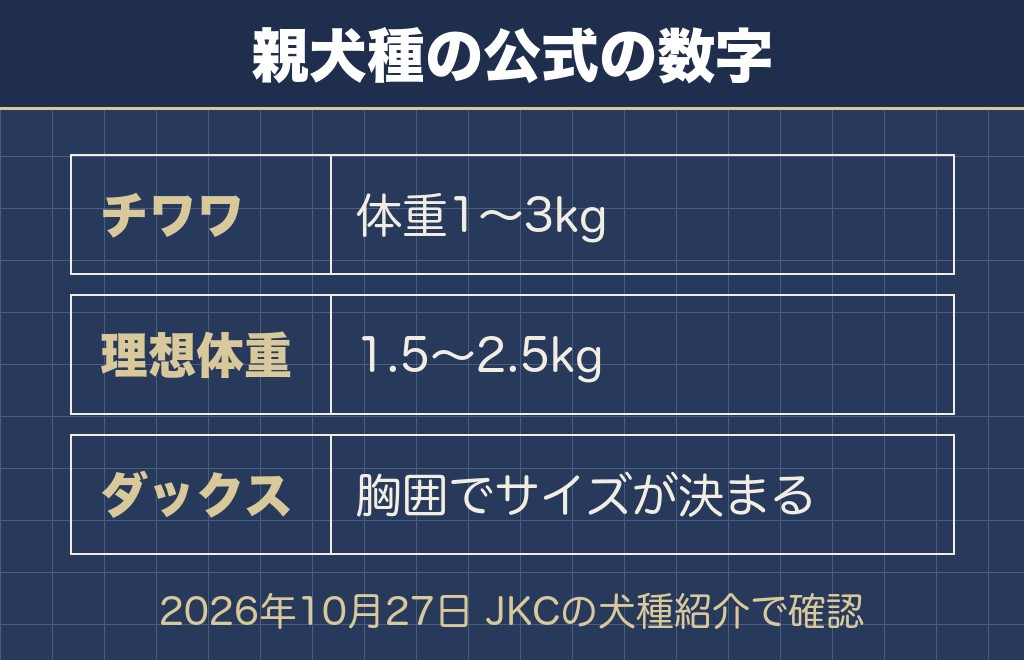 チワワ寄りのチワックス成犬は体重3〜6kgに収まります