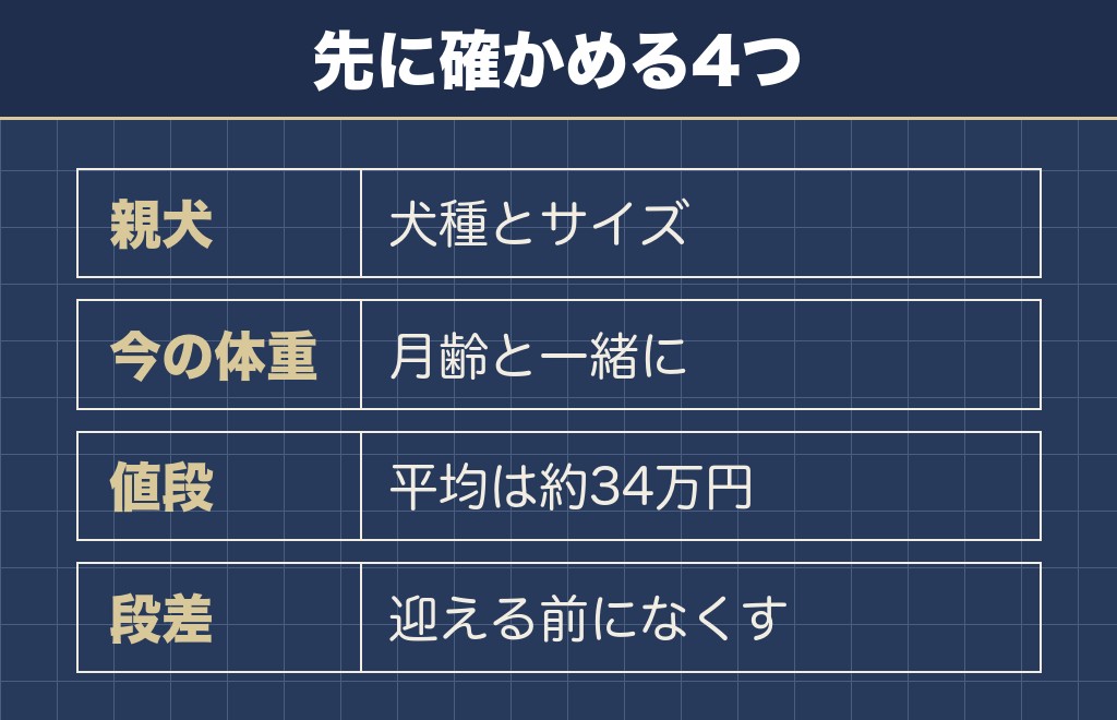 チワワ寄りのチワックスを迎える前に確認したいこと