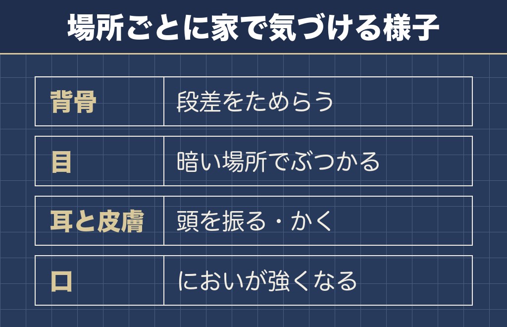 ミニチュアダックスが気をつけたい病気は毛色に関係なく共通する