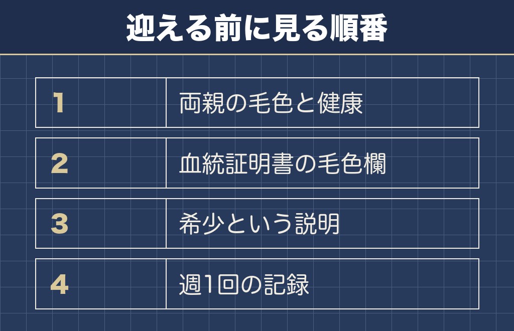 クリームのミニチュアダックスを迎えるときに確かめる4つのこと