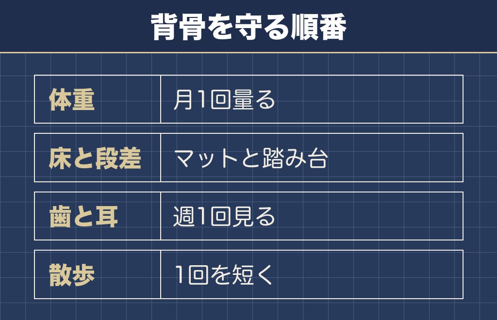 ミニチュアダックスのクリームと長く暮らすために今日からできること