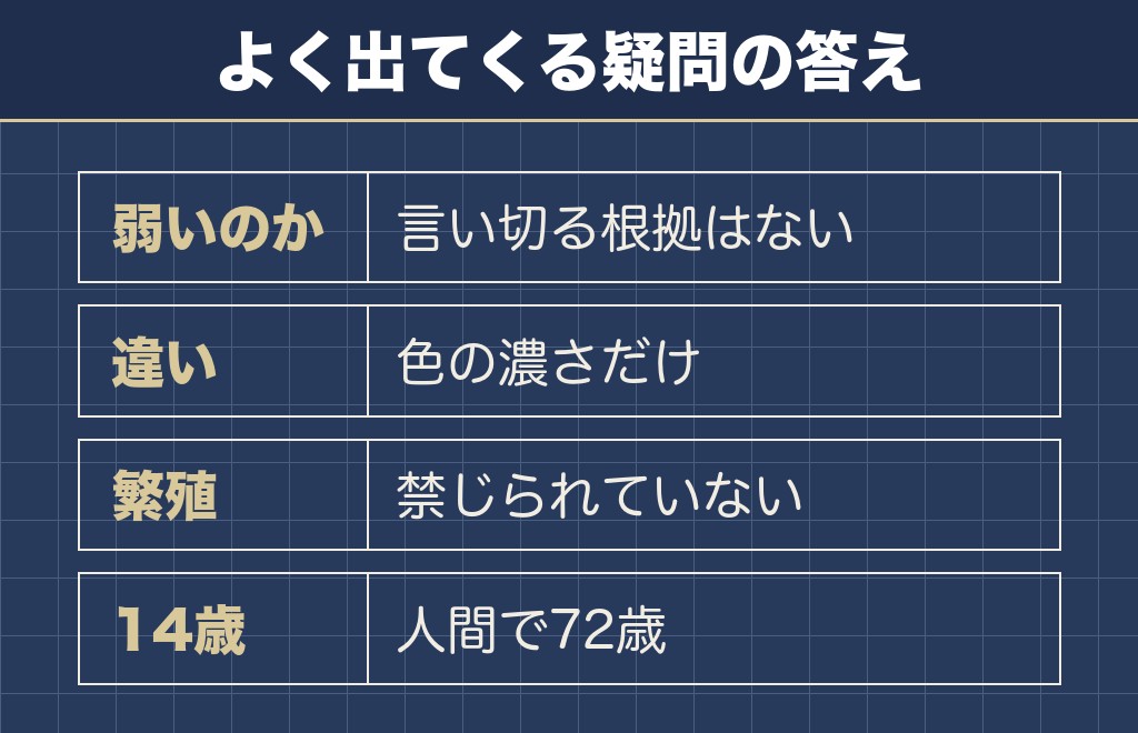 ミニチュアダックスのクリームと寿命に関するQ&A