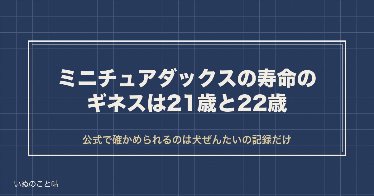 ミニチュアダックスの寿命のギネスは何歳？最高齢と平均寿命も