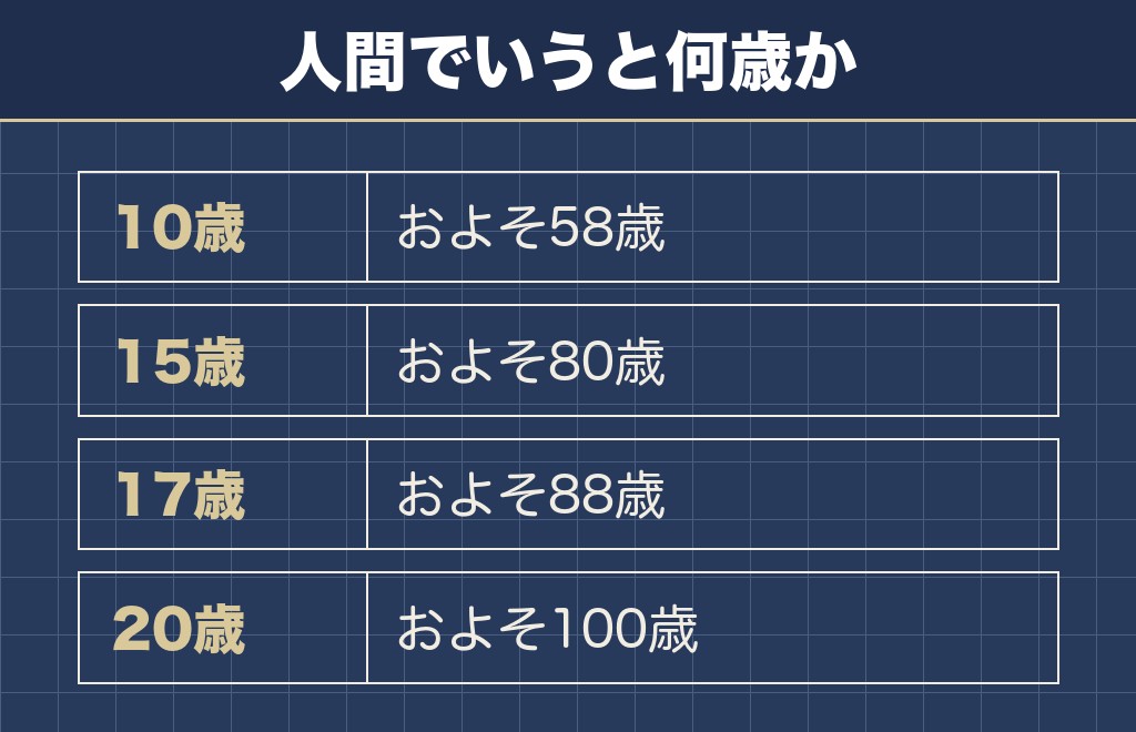ミニチュアダックスの年齢を人間に換算すると15歳で80歳前後