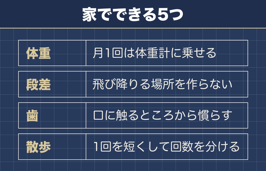 ミニチュアダックスの寿命を延ばすのは体重と背中の管理