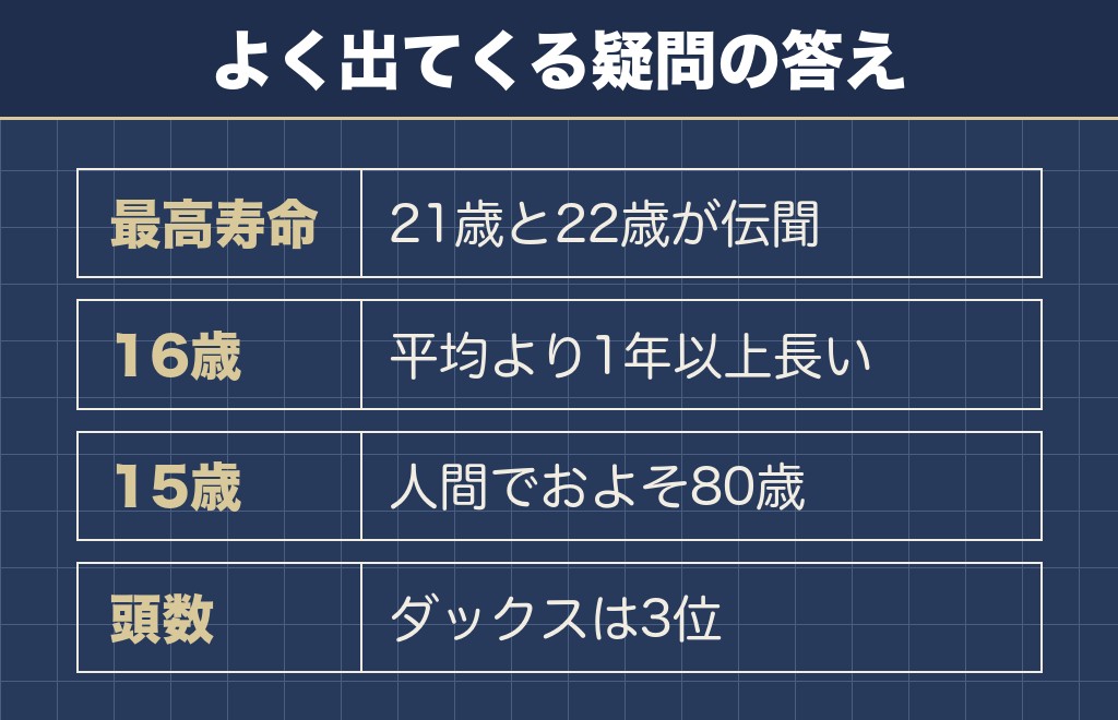 ミニチュアダックスの寿命とギネスに関するQ&A