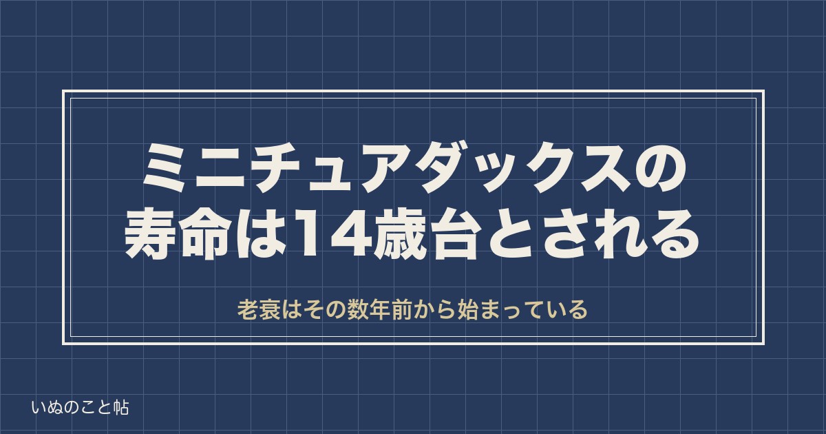 ミニチュアダックスフンドの寿命と老衰のサイン｜最期の兆候も