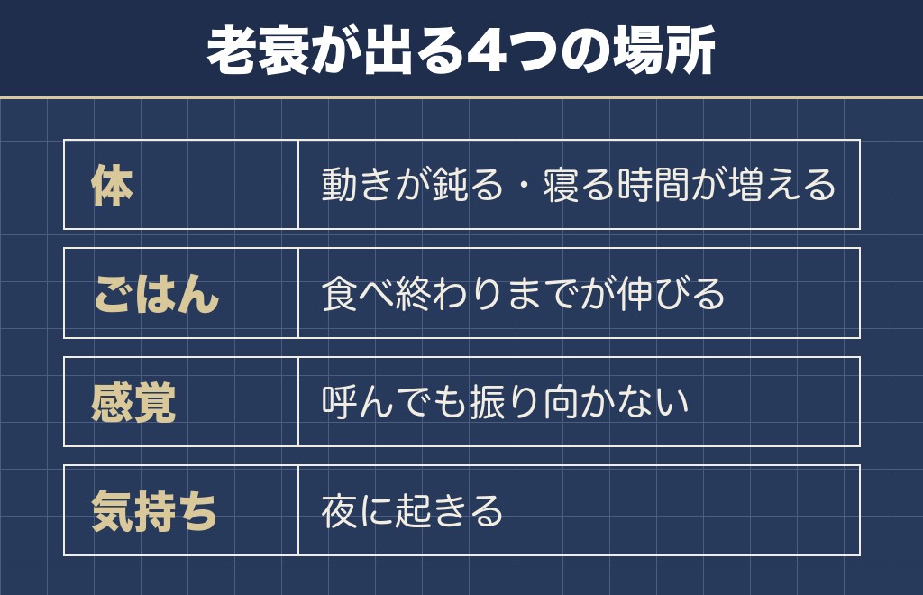 ミニチュアダックスの老衰の症状は体・ごはん・感覚・気持ちの4つに出る