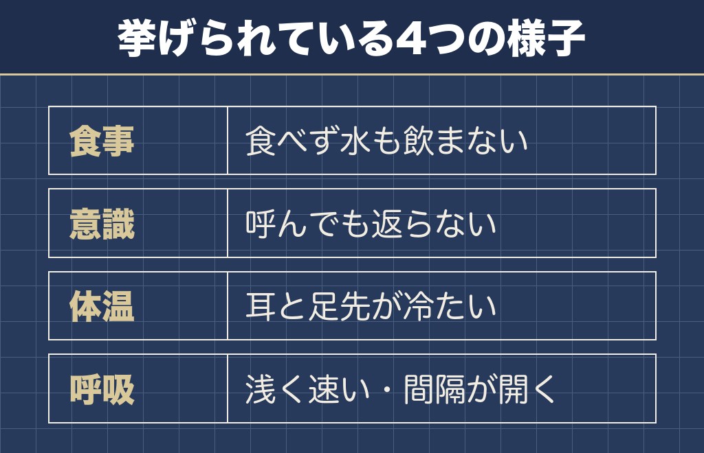ミニチュアダックスの老衰で死期が近いときに出る症状