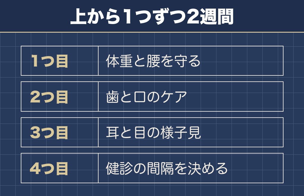 ミニチュアダックスの寿命を延ばすために家でできること
