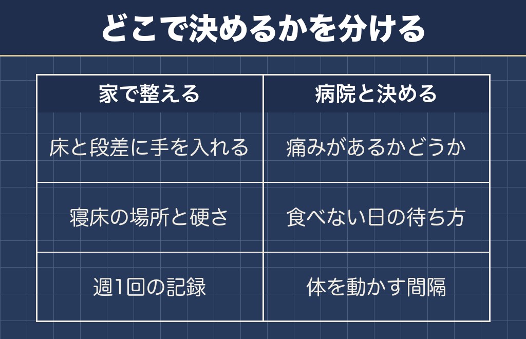ミニチュアダックスの老衰が進んでからの暮らしで決めておくこと