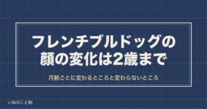 フレンチブルドッグの顔の変化は2歳まで？小さい顔や選び方も