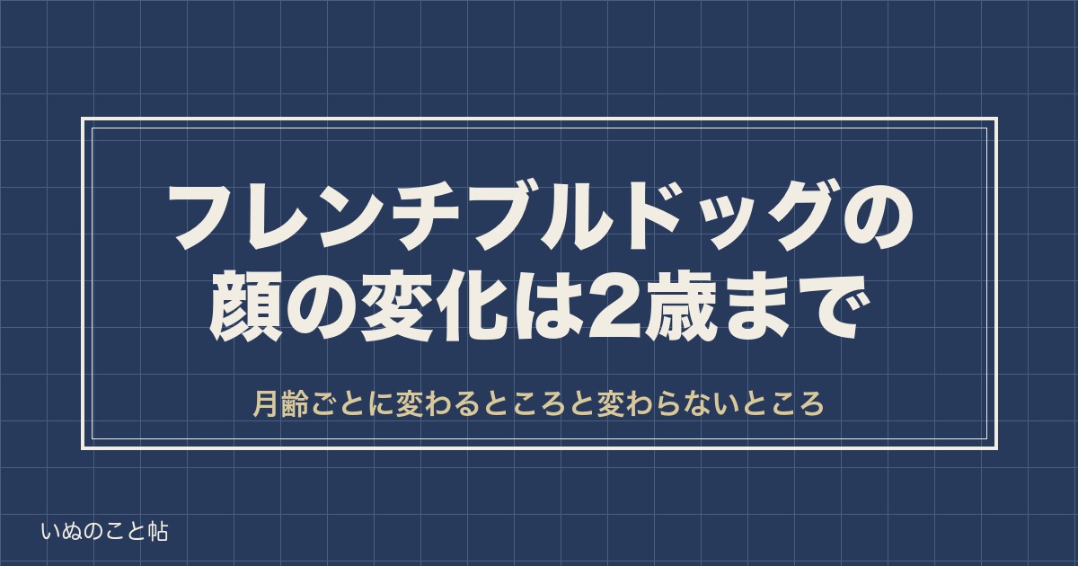 フレンチブルドッグの顔の変化は2歳まで？小さい顔や選び方も