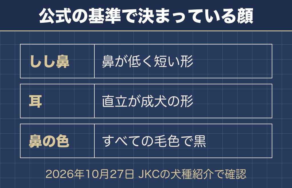 フレンチブルドッグの顔の変化は生後2年ごろまで続きます