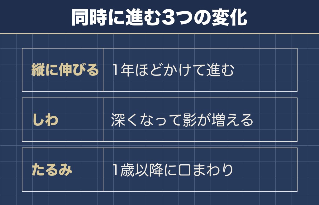 フレンチブルドッグの顔の変化がおっさん顔といわれる3つの理由