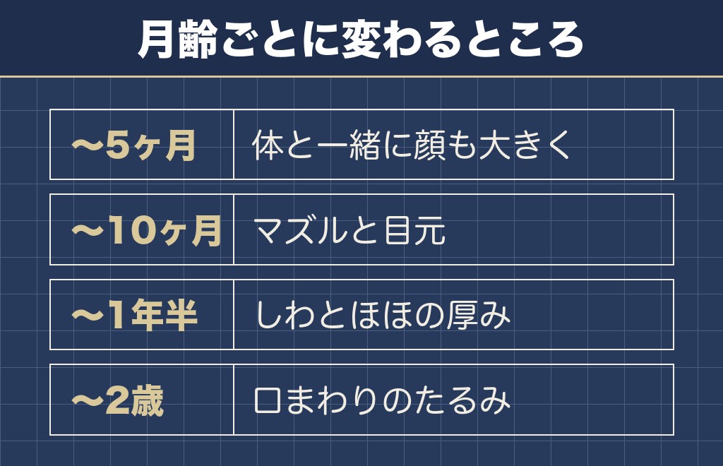 フレンチブルドッグの顔の変化は月齢ごとに見ると分かりやすいです