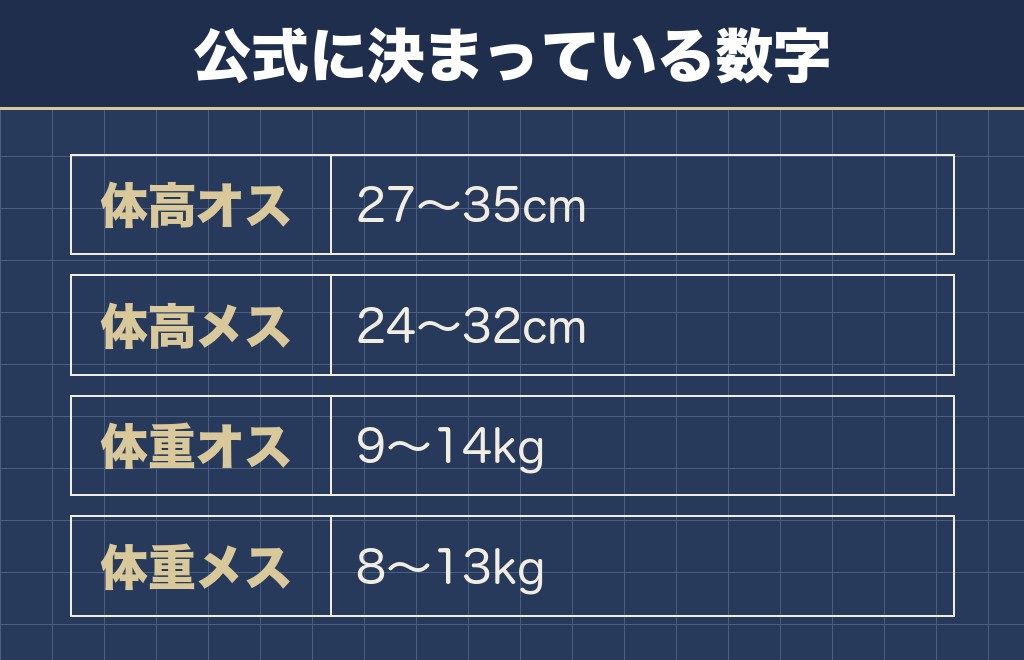 フレンチブルドッグの顔はタイプと選び方で印象が変わります