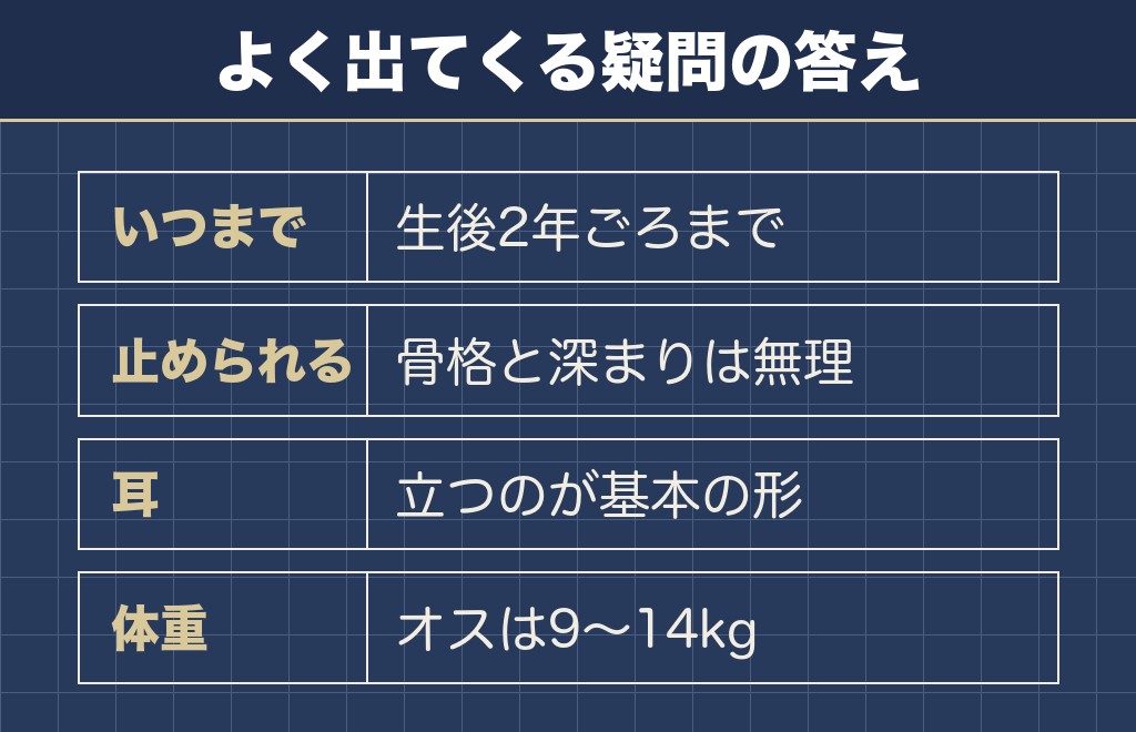 フレンチブルドッグの顔の変化に関するQ&A
