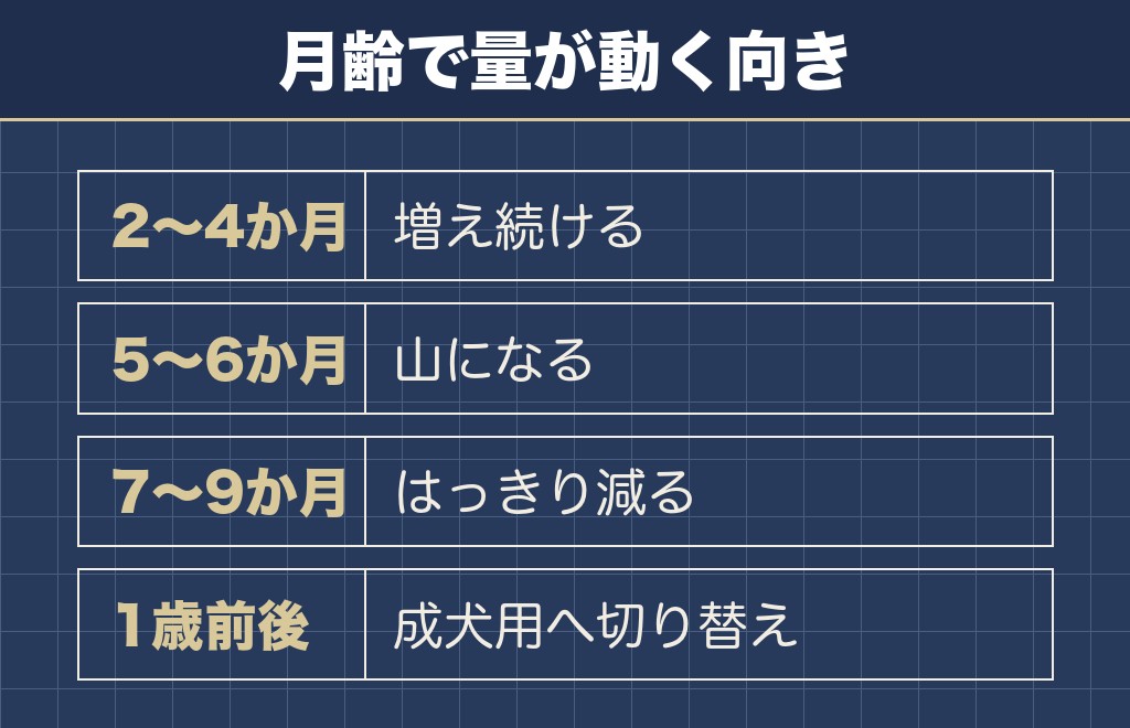 子犬のご飯の量は5か月前後を山にして減っていく