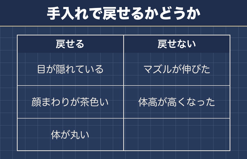 マルチーズの成犬で手入れで戻せる見た目と戻せない見た目