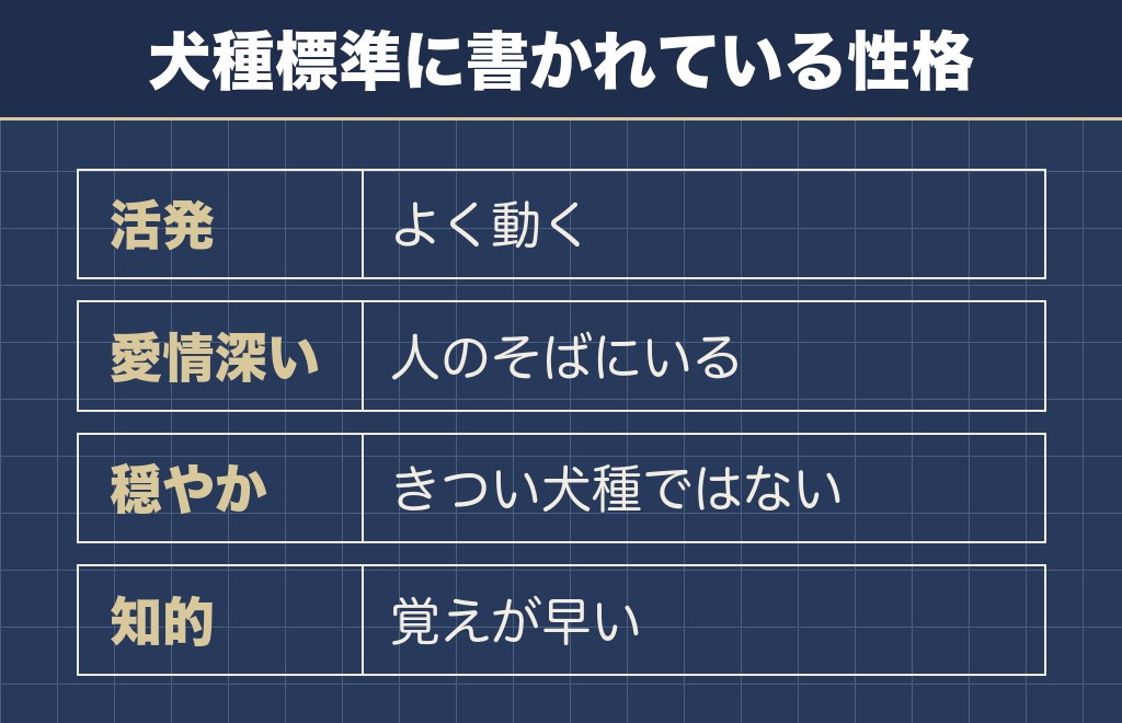 マルチーズの性格は標準では穏やかで愛情深い