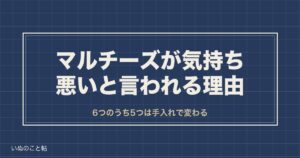 マルチーズは気持ち悪い？言われる理由と性格や凶暴化の噂も